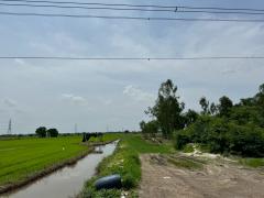 ขายที่ดิน เนื้อที่ 100 ไร่เศษ อ.วังน้อย จังหวัดพระนครศรีอยุธยา-202506261330141750919414407.jpg