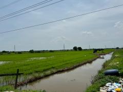ขายที่ดิน เนื้อที่ 100 ไร่เศษ อ.วังน้อย จังหวัดพระนครศรีอยุธยา-202506261330151750919415012.jpg