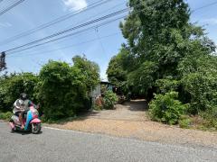 ขายที่ดิน เนื้อที่ 100 ไร่เศษ อ.วังน้อย จังหวัดพระนครศรีอยุธยา-202506261330161750919416770.jpg