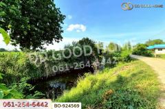 BO-924569 ที่ดินขามสะแกแสง 24 ไร่ 194.3 ตร.ว. นครราชสีมา ใกล้ที่ว่าการอำเภอขามสะแกแสง-202506261341021750920062989.jpg