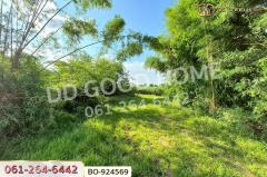 BO-924569 ที่ดินขามสะแกแสง 24 ไร่ 194.3 ตร.ว. นครราชสีมา ใกล้ที่ว่าการอำเภอขามสะแกแสง-202506261341031750920063565.jpg
