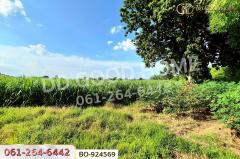 BO-924569 ที่ดินขามสะแกแสง 24 ไร่ 194.3 ตร.ว. นครราชสีมา ใกล้ที่ว่าการอำเภอขามสะแกแสง-202506261341041750920064160.jpg