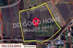 BO-924569 ที่ดินขามสะแกแสง 24 ไร่ 194.3 ตร.ว. นครราชสีมา ใกล้ที่ว่าการอำเภอขามสะแกแสง-202506261341051750920065387.jpg