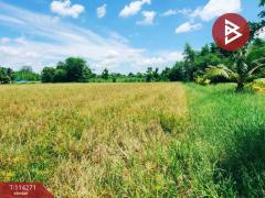 ขายที่ดิน เนื้อที่ 15 ไร่ ทำเลดี ต.หนองนางนวล อ.หนองฉาง จ.อุทัยธานี-202506261346131750920373166.jpg