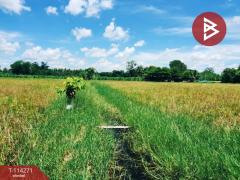 ขายที่ดิน เนื้อที่ 15 ไร่ ทำเลดี ต.หนองนางนวล อ.หนองฉาง จ.อุทัยธานี-202506261346131750920373738.jpg