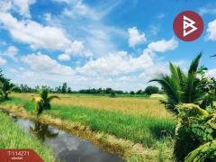 ขายที่ดิน เนื้อที่ 15 ไร่ ทำเลดี ต.หนองนางนวล อ.หนองฉาง จ.อุทัยธานี-202506261346141750920374294.jpg