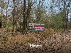 ที่ดินถนนสันป่าตอง–แม่วาง ตำบลบ้านแม อำเภอสันป่าตอง เชียงใหม่ (ขาย 2 แปลงติดกัน)-202506261433191750923199309.jpg