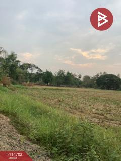 ขายที่ดิน เนื้อที่ 19 ไร่ 2 งาน 95.8 ตร.วา ป่ามะคาบ พิจิตร-202506261450191750924219944.jpg