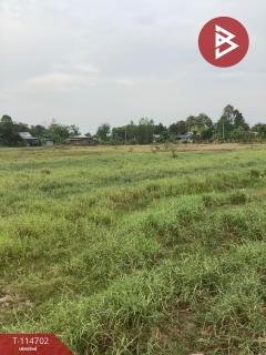 ขายที่ดิน เนื้อที่ 19 ไร่ 2 งาน 95.8 ตร.วา ป่ามะคาบ พิจิตร-202506261450231750924223173.jpg