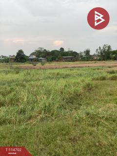 ขายที่ดิน เนื้อที่ 19 ไร่ 2 งาน 95.8 ตร.วา ป่ามะคาบ พิจิตร-202506261450231750924223905.jpg