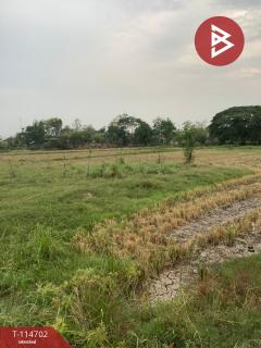ขายที่ดิน เนื้อที่ 19 ไร่ 2 งาน 95.8 ตร.วา ป่ามะคาบ พิจิตร-202506261450241750924224574.jpg