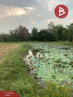 ขายที่ดิน เนื้อที่ 19 ไร่ 2 งาน 95.8 ตร.วา ป่ามะคาบ พิจิตร-202506261450251750924225147.jpg