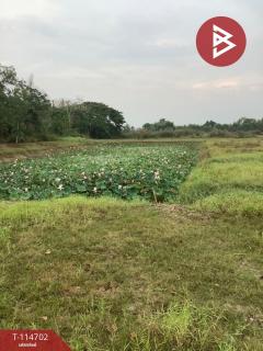 ขายที่ดิน เนื้อที่ 19 ไร่ 2 งาน 95.8 ตร.วา ป่ามะคาบ พิจิตร-202506261450261750924226267.jpg