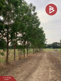 ขายที่ดิน เนื้อที่ 19 ไร่ 2 งาน 95.8 ตร.วา ป่ามะคาบ พิจิตร-202506261450271750924227018.jpg