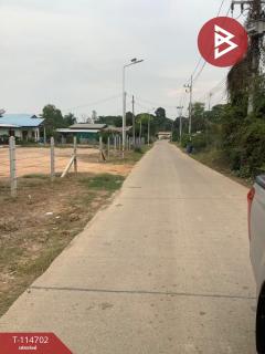 ขายที่ดิน เนื้อที่ 19 ไร่ 2 งาน 95.8 ตร.วา ป่ามะคาบ พิจิตร-202506261450281750924228122.jpg