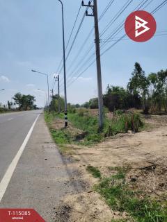 ขายที่ดิน เนื้อที่ 24 ไร่ 2 งาน 90 ตร.วา ลาดยาว นครสวรรค์-202506261507171750925237031.jpg