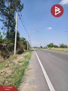 ขายที่ดิน เนื้อที่ 24 ไร่ 2 งาน 90 ตร.วา ลาดยาว นครสวรรค์-202506261507171750925237587.jpg