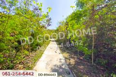 DD-894443 ที่ดินเมืองหนองบัวลำภู 2 ไร่ 37 ตร.ว. ใกล้โรงพยาบาลหนองบัวลำภู-202506261613531750929233434.jpg