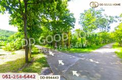 DD-894443 ที่ดินเมืองหนองบัวลำภู 2 ไร่ 37 ตร.ว. ใกล้โรงพยาบาลหนองบัวลำภู-202506261613541750929234875.jpg