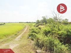 ขายที่ดิน เนื้อที่ 1 ไร่ 2 งาน หนองเสือ ปทุมธานี-202506261619581750929598817.jpg