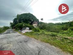 ขายที่ดิน เนื้อที่ 51 ตร.วา ไทรน้อย นนทบุรี-202506261638361750930716646.jpg