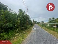 ขายที่ดิน เนื้อที่ 51 ตร.วา ไทรน้อย นนทบุรี-202506261638371750930717772.jpg