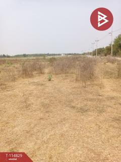 ที่ดินถมแล้ว เนื้อที่ 10 ไร่ 2 งาน 66.3 ตร.วา จอมบึง ราชบุรี-202506261651361750931496151.jpg