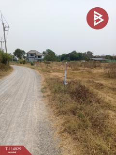 ที่ดินถมแล้ว เนื้อที่ 10 ไร่ 2 งาน 66.3 ตร.วา จอมบึง ราชบุรี-202506261651391750931499634.jpg