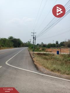 ที่ดินถมแล้ว เนื้อที่ 10 ไร่ 2 งาน 66.3 ตร.วา จอมบึง ราชบุรี-202506261651401750931500185.jpg