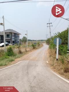 ที่ดินถมแล้ว เนื้อที่ 10 ไร่ 2 งาน 66.3 ตร.วา จอมบึง ราชบุรี-202506261651401750931500801.jpg