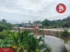 ขายบ้านเดี่ยวพร้อมที่ดิน เนื้อที่ 2 ไร่ 20 ตร.วา ลำลูกกา ปทุมธานี-202506261727341750933654958.jpg