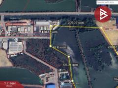 ขายที่ดิน เนื้อที่ 212 ไร่ 3 งาน 47 ตร.วา พันท้ายนรสิงห์ สมุทรสาคร-202506261734391750934079343.jpg