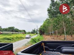ขายที่ดิน เนื้อที่ 8 ไร่ 3 งาน 19 ตร.วา ร่อนพิบูลย์ นครศรีธรรมราช-202506261755541750935354453.jpg