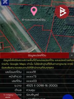 ขายที่ดิน เนื้อที่ 8 ไร่ 3 งาน 19 ตร.วา ร่อนพิบูลย์ นครศรีธรรมราช-202506261755561750935356784.jpg