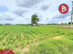ขายที่ดิน เนื้อที่ 6 ไร่ 37 ตร.วา ท่าม่วง กาญจนบุรี-202506261931371750941097174.jpg
