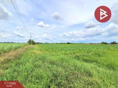 ขายที่ดิน เนื้อที่ 6 ไร่ 37 ตร.วา ท่าม่วง กาญจนบุรี-202506261931381750941098923.jpg