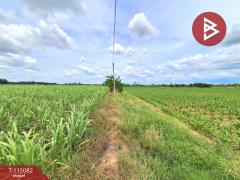 ขายที่ดิน เนื้อที่ 6 ไร่ 37 ตร.วา ท่าม่วง กาญจนบุรี-202506261931391750941099509.jpg