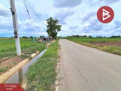 ขายที่ดิน เนื้อที่ 6 ไร่ 37 ตร.วา ท่าม่วง กาญจนบุรี-202506261931401750941100102.jpg