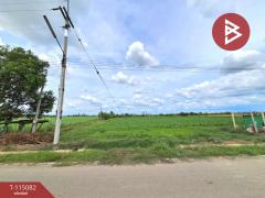 ขายที่ดิน เนื้อที่ 6 ไร่ 37 ตร.วา ท่าม่วง กาญจนบุรี-202506261931411750941101786.jpg