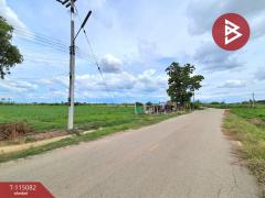 ขายที่ดิน เนื้อที่ 6 ไร่ 37 ตร.วา ท่าม่วง กาญจนบุรี-202506261931421750941102330.jpg