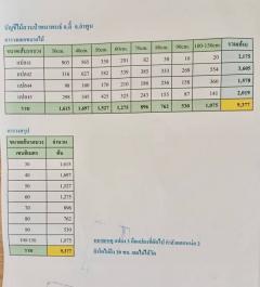 ติดทรัพย์ ขายสวนป่าสักทอง 50,000 ต้น อำเภอลี้ จ.ลำพูน-202506271405161751007916230.jpg