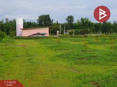 ขายที่ดิน เนื้อที่ 10 ไร่ กบินทร์บุรี ปราจีนบุรี-202506271408561751008136084.jpg