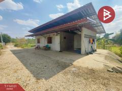 ขายที่ดิน เนื้อที่ 10 ไร่ กบินทร์บุรี ปราจีนบุรี-202506271408571751008137757.jpg