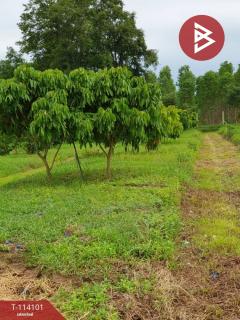 ขายที่ดิน เนื้อที่ 10 ไร่ กบินทร์บุรี ปราจีนบุรี-202506271409021751008142763.jpg