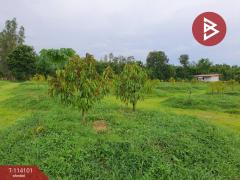 ขายที่ดิน เนื้อที่ 10 ไร่ กบินทร์บุรี ปราจีนบุรี-202506271409031751008143306.jpg