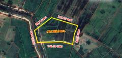 ขายที่ดินเชียงยืน มหาสารคาม ใกล้เซเว่น เพียง 1 กม. -202506271427211751009241033.jpg