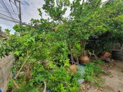 ขายบ้านเดี่ยว หมู่บ้านกาญจนาลักษณ์ 3 ( นนทบุรี ) ติดถนนกาญจนาภิเษก-202506271428361751009316451.jpg