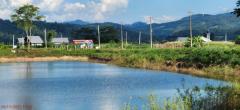 ขายที่ดินพร้อมบ้านพักตากอากาศ วิวเขาล้อมรอบ เงียบสงบ ตรงข้ามวัดท่าตอน จ.เชียงใหม่ -202506271514241751012064054.jpg