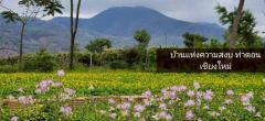 ขายที่ดินพร้อมบ้านพักตากอากาศ วิวเขาล้อมรอบ เงียบสงบ ตรงข้ามวัดท่าตอน จ.เชียงใหม่ -202506271514251751012065050.jpg