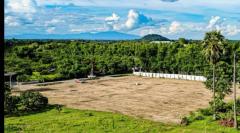 ขายที่ดินแปลงสวย 3-0-32 ไร่ ในหมู่บ้านป่ารกฟ้า ใกล้ถนนลำพูน-เวียงหนองล่อง